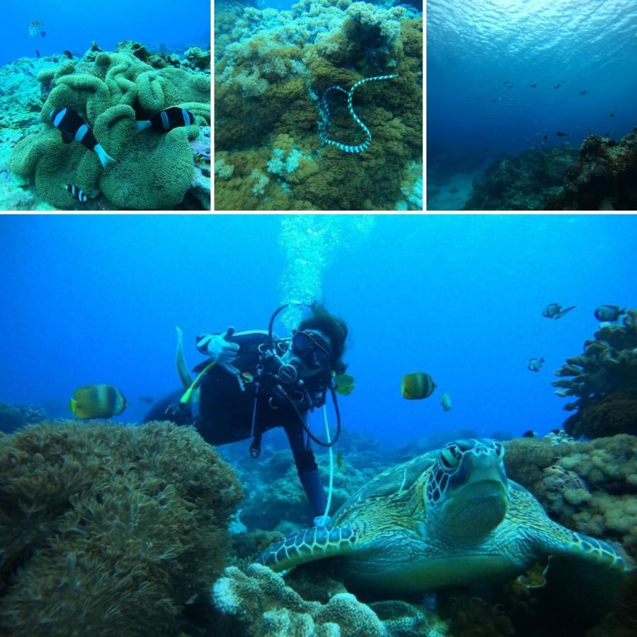 A Pousada 七十腳落背包客棧 Ilha Verde Exterior foto